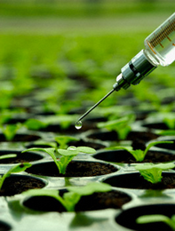 Department of Biotechnology, at IUG, Opens a Training Program, Funded by World Bank and the European Union